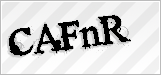 CAPTCHA security code