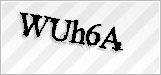 CAPTCHA security code
