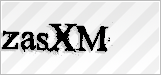 CAPTCHA security code