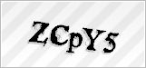 CAPTCHA security code