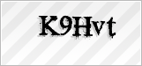 CAPTCHA security code