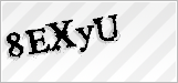 CAPTCHA security code