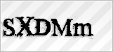CAPTCHA security code