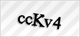 CAPTCHA security code