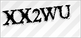 CAPTCHA security code