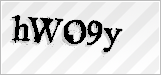 CAPTCHA security code