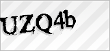 CAPTCHA security code
