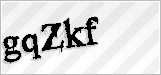 CAPTCHA security code