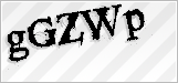 CAPTCHA security code