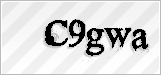 CAPTCHA security code