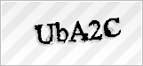 CAPTCHA security code