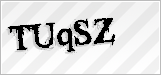 CAPTCHA security code