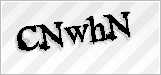 CAPTCHA security code