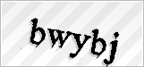 CAPTCHA security code
