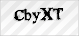 CAPTCHA security code