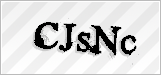 CAPTCHA security code