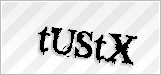 CAPTCHA security code