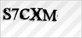 CAPTCHA security code