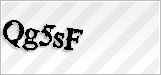 CAPTCHA security code