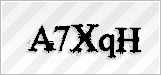 CAPTCHA security code