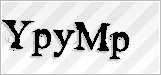 CAPTCHA security code