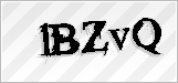 CAPTCHA security code