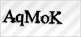CAPTCHA security code