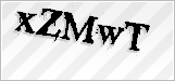 CAPTCHA security code