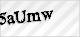 CAPTCHA security code