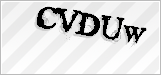 CAPTCHA security code