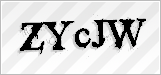 CAPTCHA security code