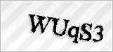 CAPTCHA security code