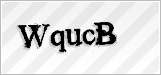 CAPTCHA security code