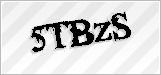 CAPTCHA security code