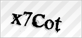CAPTCHA security code