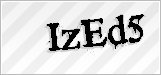 CAPTCHA security code