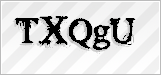 CAPTCHA security code