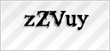 CAPTCHA security code