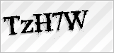 CAPTCHA security code