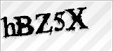 CAPTCHA security code