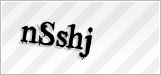 CAPTCHA security code