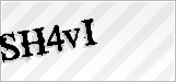 CAPTCHA security code
