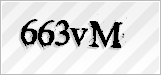 CAPTCHA security code