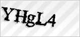 CAPTCHA security code
