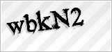 CAPTCHA security code