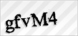 CAPTCHA security code