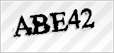 CAPTCHA security code