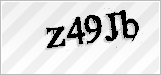CAPTCHA security code