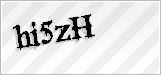 CAPTCHA security code