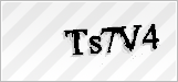 CAPTCHA security code